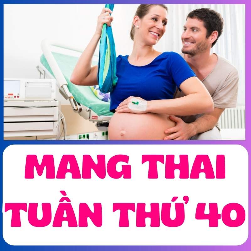 ông bố tương lai tuần thứ 40